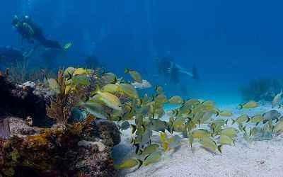 Tavernier, Florida Keys