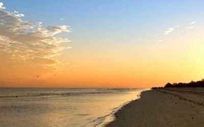 St. Petersburg Vacation Rentals